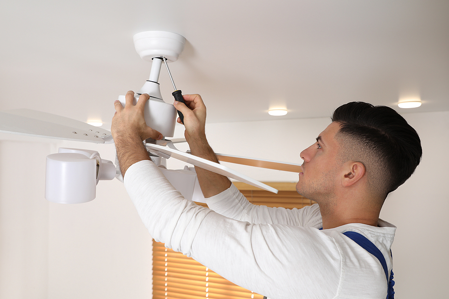 ceiling fans northern beaches